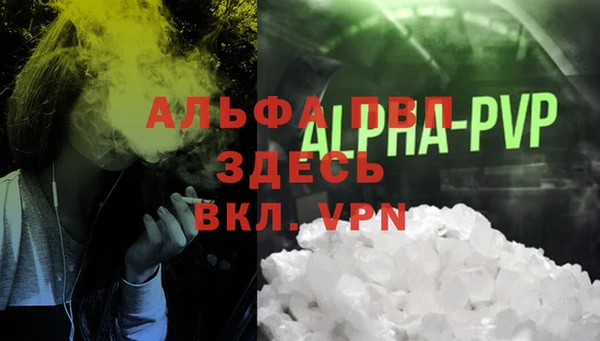 спиды Покачи