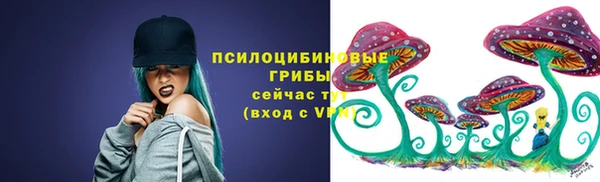 спиды Покачи