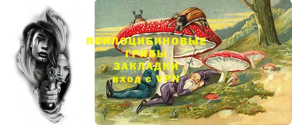 марки lsd Дубна
