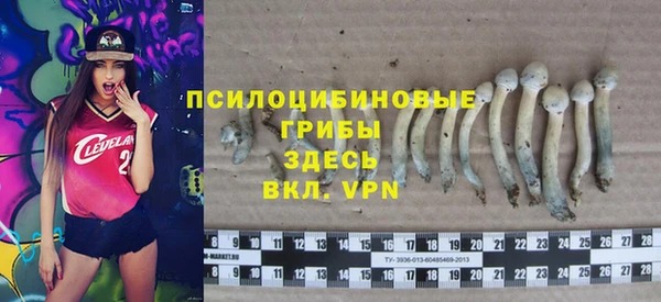 хмурый Пролетарск