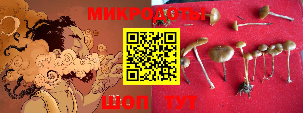 Бугуруслан  Галлюциногенные грибы Cubensis  где купить наркоту  Вход с VPN 