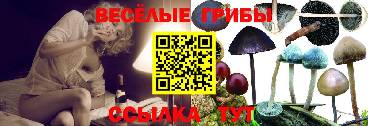 Галлюциногенные грибы MAGIC MUSHROOMS  Бугуруслан 