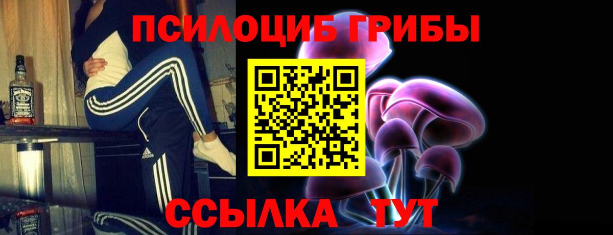 Псилоцибиновые грибы Cubensis Бугуруслан